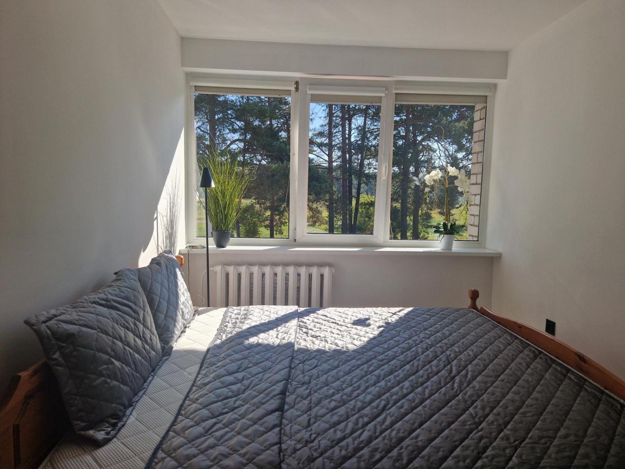 דרוסקינינקאי Duplex Apartment Vilte מראה חיצוני תמונה