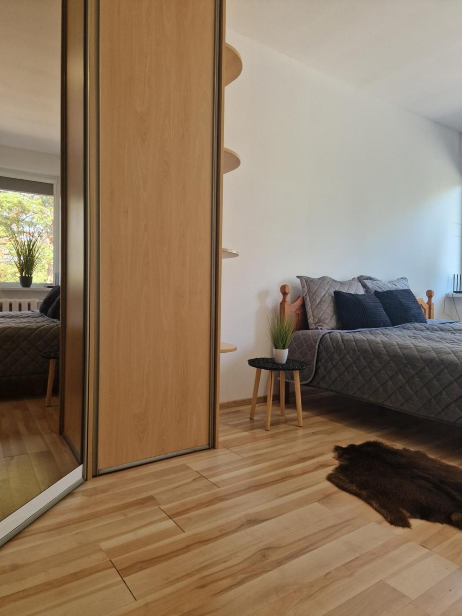 דרוסקינינקאי Duplex Apartment Vilte מראה חיצוני תמונה