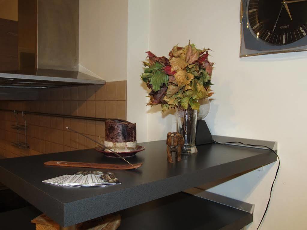 דרוסקינינקאי Duplex Apartment Vilte מראה חיצוני תמונה